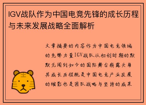 IGV战队作为中国电竞先锋的成长历程与未来发展战略全面解析