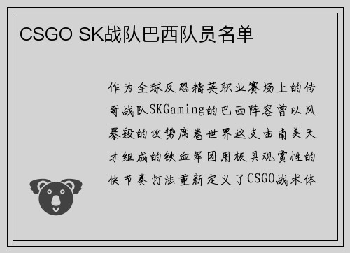 CSGO SK战队巴西队员名单