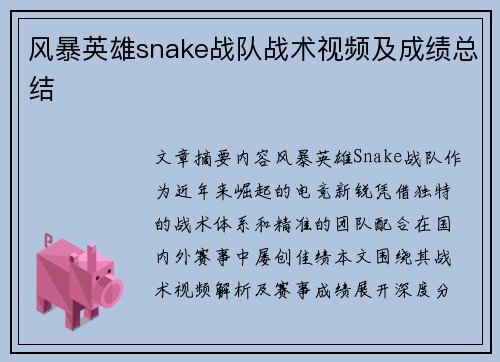 风暴英雄snake战队战术视频及成绩总结